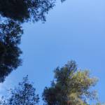 MARÍA JOSÉ RODRÍGUEZ TRIVIÑO Profile Picture