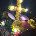 Wilin Ascanio Profile Picture