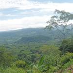 Moises Rodriguez Profile Picture