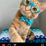 German lozada Lozada Profile Picture