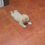 Taily Vazquez Profile Picture