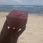 Yileidy Ogando Profile Picture